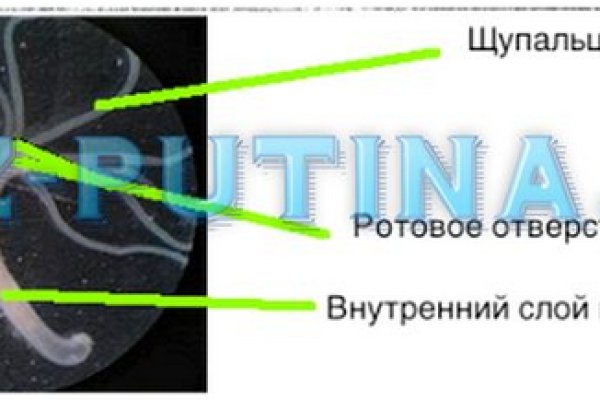 Кракен это что за магазин