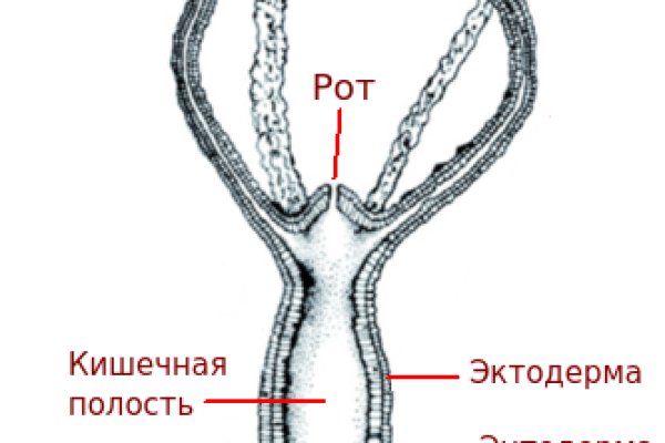 Блэкспрут зеркало кракен