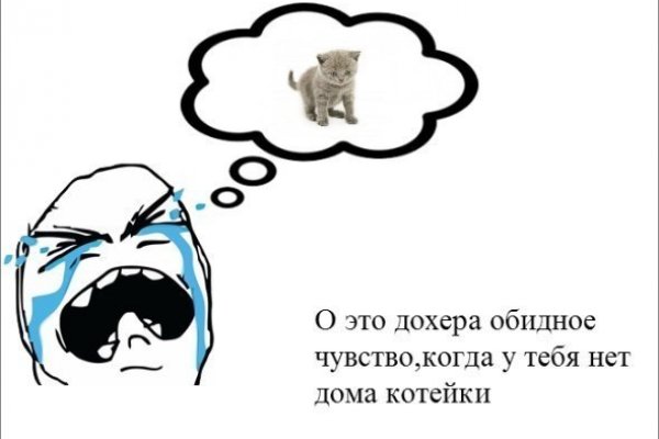 Gidra магазин
