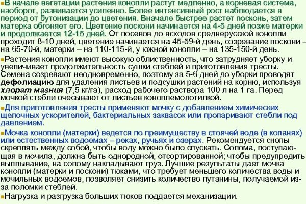 Кракен сайт что будет если зайти