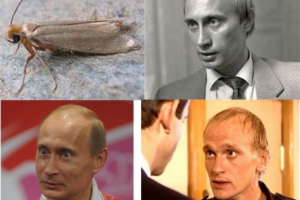 Кракен зарегистрироваться