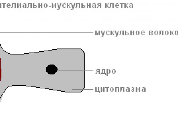 Замена hydra