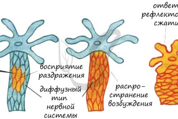 Сайты супернета